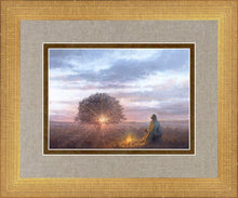 Load image into Gallery viewer, The Light of Life