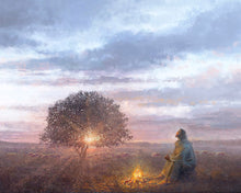 Load image into Gallery viewer, The Light of Life