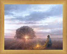 Load image into Gallery viewer, The Light of Life