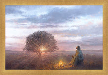 Load image into Gallery viewer, The Light of Life