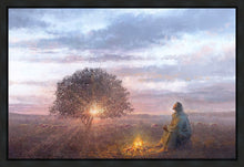 Load image into Gallery viewer, The Light of Life