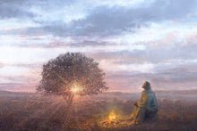 Load image into Gallery viewer, The Light of Life