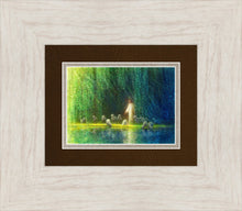 Load image into Gallery viewer, Among the Willows