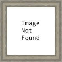 Load image into Gallery viewer, Radiance