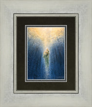 Load image into Gallery viewer, Rescue Me