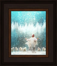 Load image into Gallery viewer, Radiance