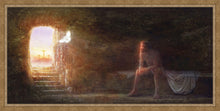 Load image into Gallery viewer, Risen