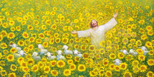 Load image into Gallery viewer, Be Glad and Rejoice