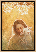 Load image into Gallery viewer, In God's Favor