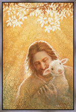Load image into Gallery viewer, In God's Favor