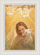 Load image into Gallery viewer, In God's Favor