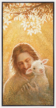 Load image into Gallery viewer, In God's Favor