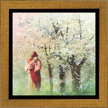 Load image into Gallery viewer, Heavenly Blossoms
