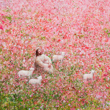 Load image into Gallery viewer, Shepherd's Rest