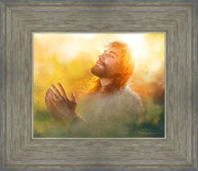 Load image into Gallery viewer, A Perfect Peace