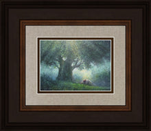 Load image into Gallery viewer, He Has Delivered Us