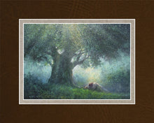 Load image into Gallery viewer, He Has Delivered Us