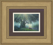 Load image into Gallery viewer, He Has Delivered Us