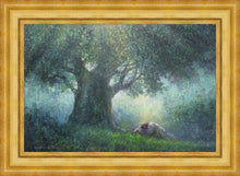 Load image into Gallery viewer, He Has Delivered Us