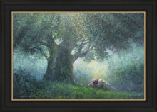 Load image into Gallery viewer, He Has Delivered Us