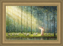 Load image into Gallery viewer, Rest