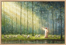 Load image into Gallery viewer, Rest