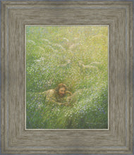 Load image into Gallery viewer, We Are All Wildflowers