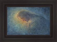 Load image into Gallery viewer, Let Me Hear Your Words