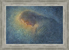 Load image into Gallery viewer, Let Me Hear Your Words