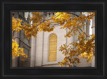 Load image into Gallery viewer, Salt Lake Autumn Leaves