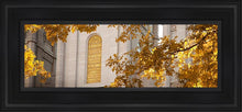 Load image into Gallery viewer, Salt Lake Autumn Leaves