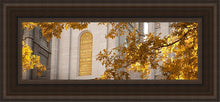Load image into Gallery viewer, Salt Lake Autumn Leaves
