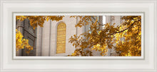 Load image into Gallery viewer, Salt Lake Autumn Leaves