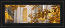 Load image into Gallery viewer, Salt Lake Autumn Leaves
