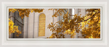 Load image into Gallery viewer, Salt Lake Autumn Leaves
