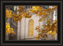 Load image into Gallery viewer, Salt Lake Autumn Leaves