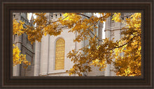 Load image into Gallery viewer, Salt Lake Autumn Leaves