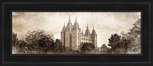 Load image into Gallery viewer, Salt Lake Temple Vintage