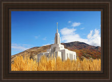 Load image into Gallery viewer, Draper Wheat Field