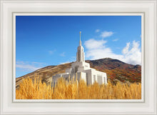 Load image into Gallery viewer, Draper Wheat Field