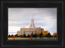 Load image into Gallery viewer, Mount Timpanogos Autumn Trees