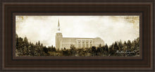Load image into Gallery viewer, Boston Vintage