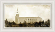 Load image into Gallery viewer, Boston Vintage