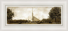 Load image into Gallery viewer, Dallas Vintage