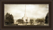 Load image into Gallery viewer, Denver Vintage
