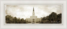 Load image into Gallery viewer, Houston Vintage