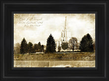 Load image into Gallery viewer, Idaho Falls Vintage
