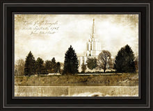 Load image into Gallery viewer, Idaho Falls Vintage