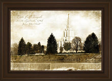 Load image into Gallery viewer, Idaho Falls Vintage