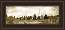 Load image into Gallery viewer, Idaho Falls Vintage